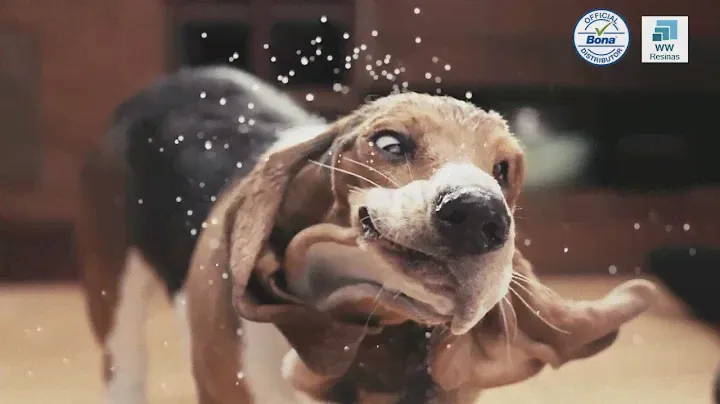 Bona Spray MOP